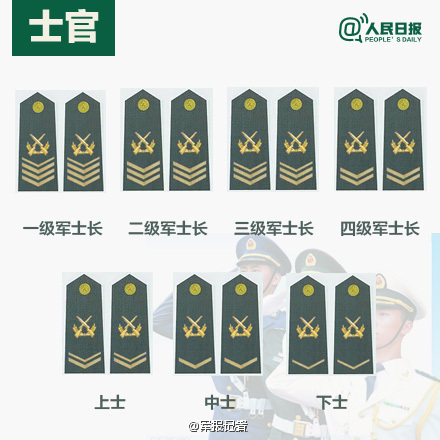 最新辅警肩章级别图及其相关解读