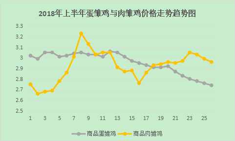 河北獭兔最新价格行情分析