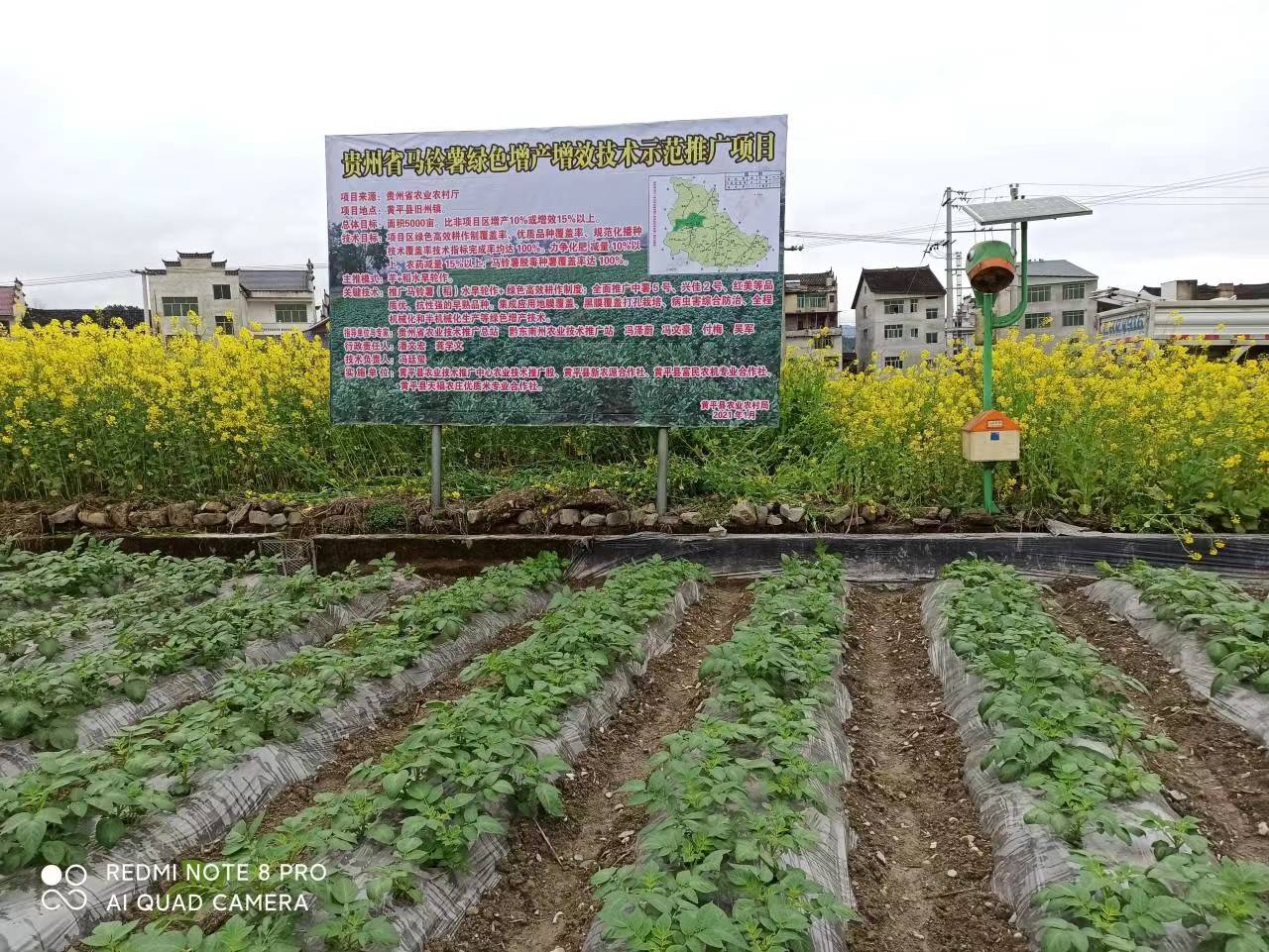 最新土豆种植机械视频，科技助力土豆产业蓬勃发展