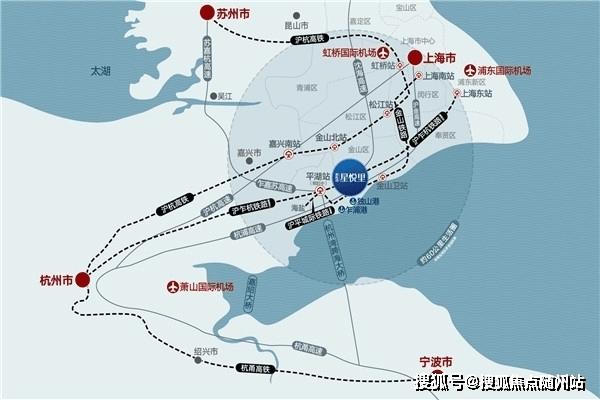 最新白皮松求购信息及其市场分析