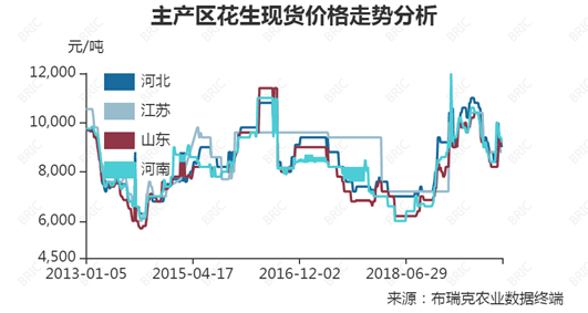 江苏花生米最新价格动态分析