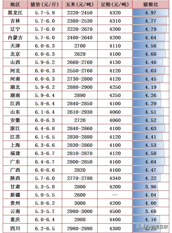 最新毛猪价与今日猪价分析