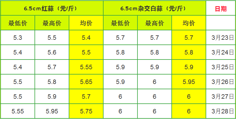 蒜苗最新价格行情今天