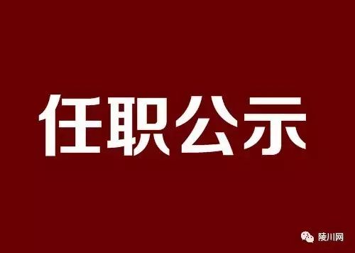 陵川组织部最新公示，深化组织变革，推动地方发展新篇章