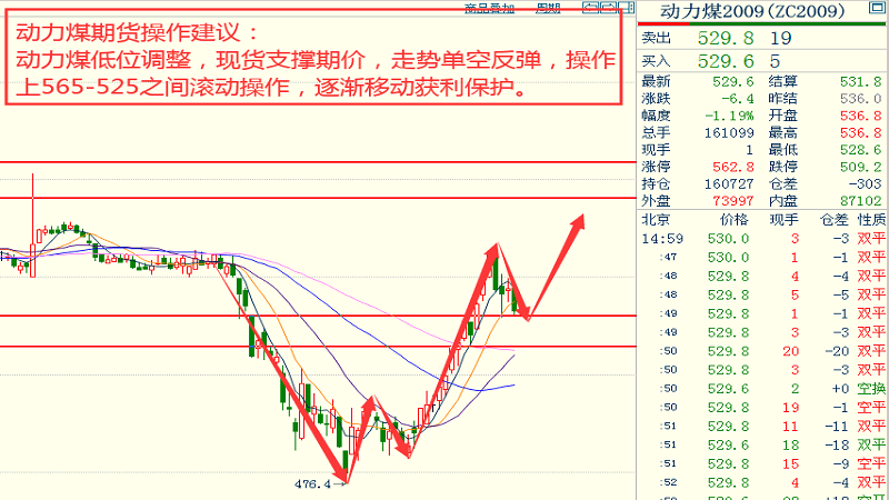 关于青翘的最新价格预测——走向未来的市场趋势分析（以2017年为观察点）