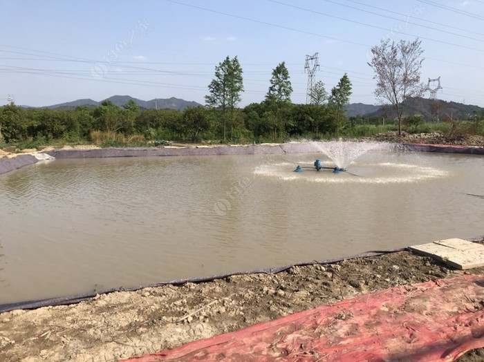 湖州野钓地点最新指南