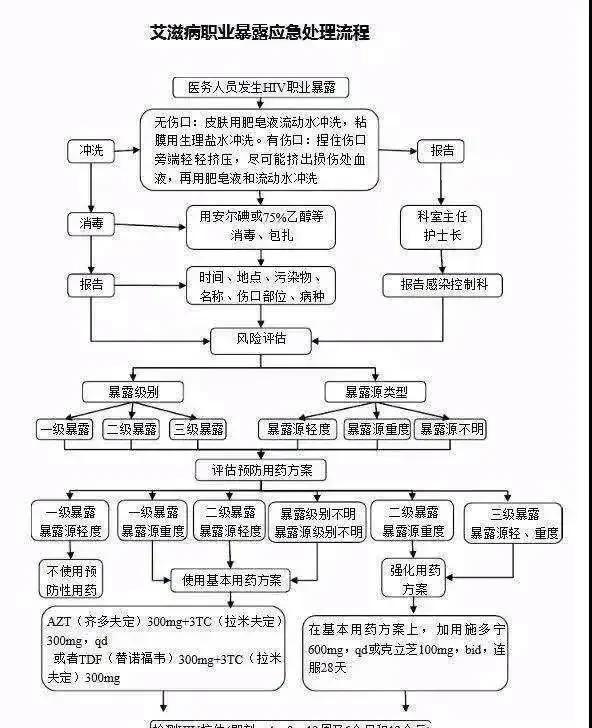 治艾丝病最新动态，研究突破与未来展望